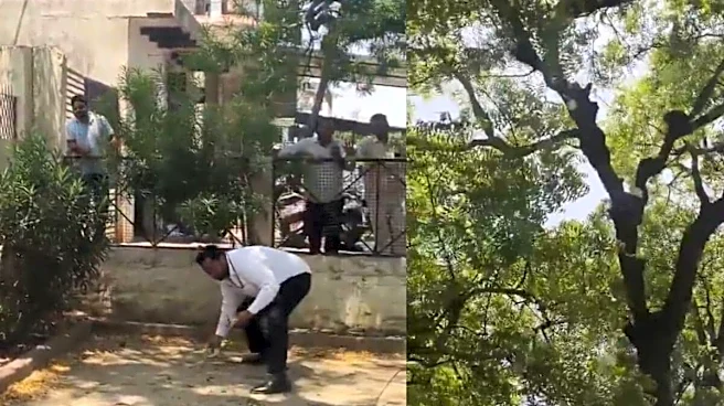 Monkey Scatters Rs 500 Notes From Tree After Snatching Bag At UP Court | Watch