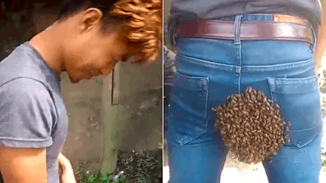 Indian Man Stands Frozen For 30 Minutes After Honeybees Land On His Pants; Internet Says 'One Wrong Move And He Was Done'