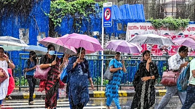 Why IMD Hasn't Declared Monsoon In Kerala Yet: The 3 Conditions That Must Be Met