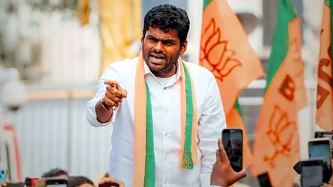Comeback On Cards? How AIADMK Turmoil Opens A Window For Annamalai After BJP Exit