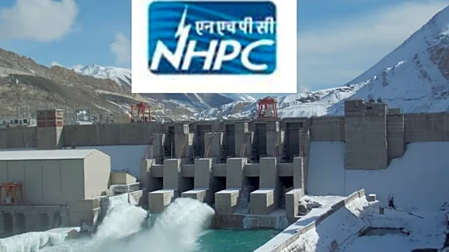 NHPC OFS Opens for Retail Investors Today: Should You Apply? Here's What Analysts Say