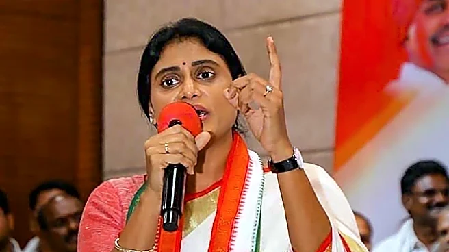 Why Andhra Congress Chief YS Sharmila Was Denied A Rajya Sabha Seat