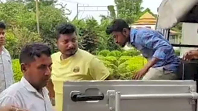 Caught At Border: BSF Foils Infiltration Bid Along India-Bangladesh Border In Murshidabad, 5 Arrested