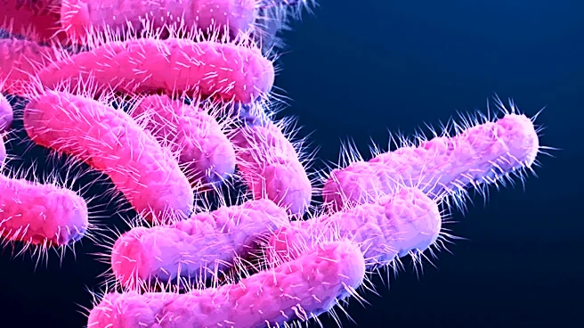 4-Year-Old Succumbs To Shigella Infection In Kerala, Two Other Children Affected