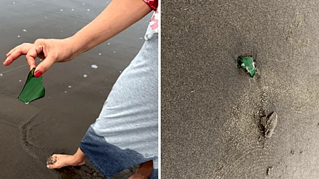 ‘It’s Really Risky To Walk Barefoot’: YouTuber Flags Broken Glass Buried At Goa Beach