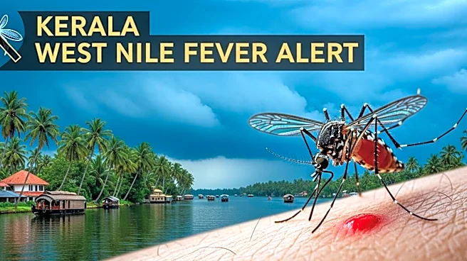 Kerala West Nile Fever Alert: Everything You Need To Know About The Mosquito-Borne Disease