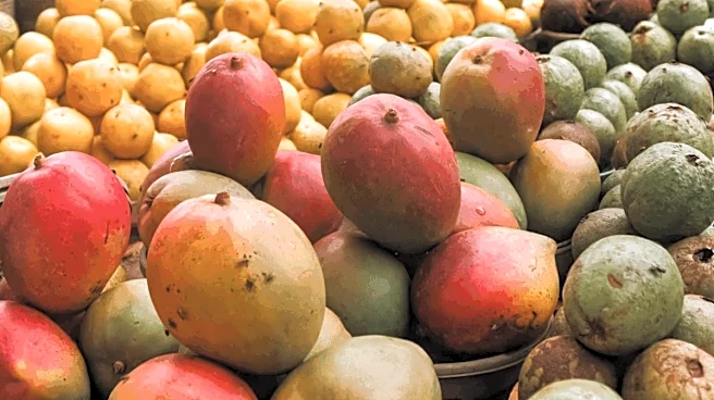 βFactually Incorrect, Misleadingβ: Government Dismisses Report Of Nepal Banning Indian Mangoes