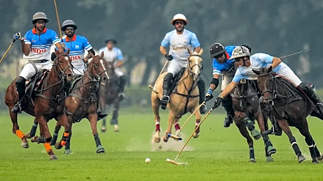 Jaipur Polo Ground: After Gymkhana Club, Another Delhi Property At The Heart Of Dispute | Explained