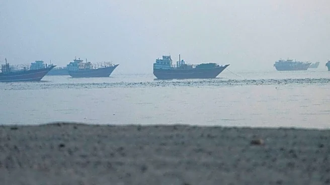 Will Shipping Resume Through Hormuz? Removing Mines Is Critical First Step, Says IMO Chief