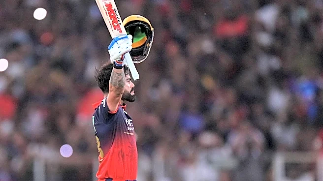 RCB CEO Reveals How Long Virat Kohli Could Continue Playing In The IPL