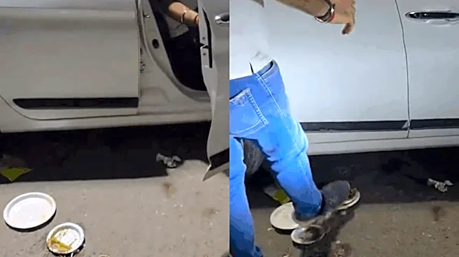 'Tere Baap Ka Road Hai?' Delhi Family Caught Dumping Used Plates On Street After Eating In Car, Internet Demands Action