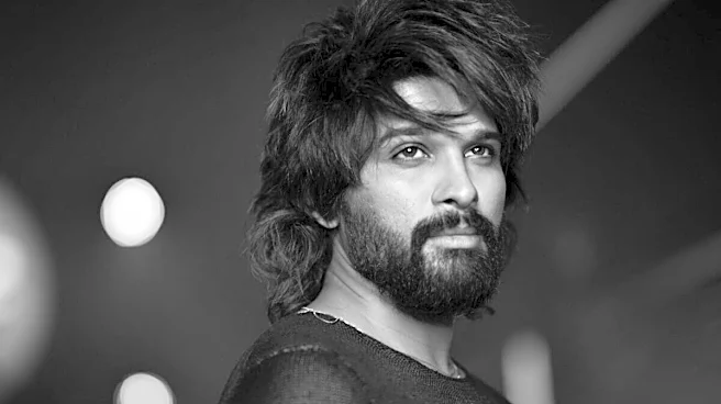 Pushpa Stampede Case Update: Allu Arjun Appears Virtually For Hearing; Court Adjourns Matter To July 6