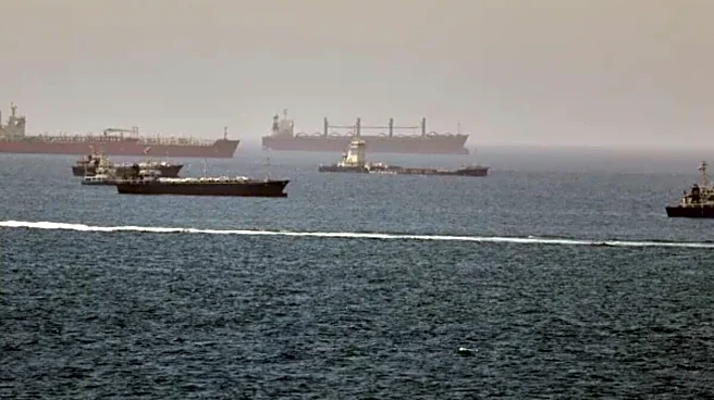 11 India-Bound Ships Transit Hormuz Since Iran-US MoU Signing, 10 Remain In Gulf Region: MEA