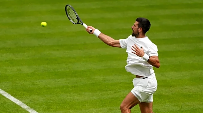 Novak Djokovic Hints At Virat Kohli Cricket Collaboration: 'We Have Texted, We Have...'