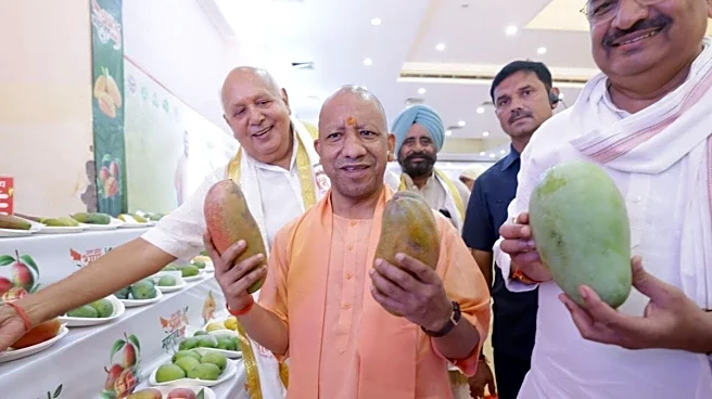 Uttar Pradesh's Aam Mahotsav Begins In Lucknow; Over 800 Mango Varieties On Display