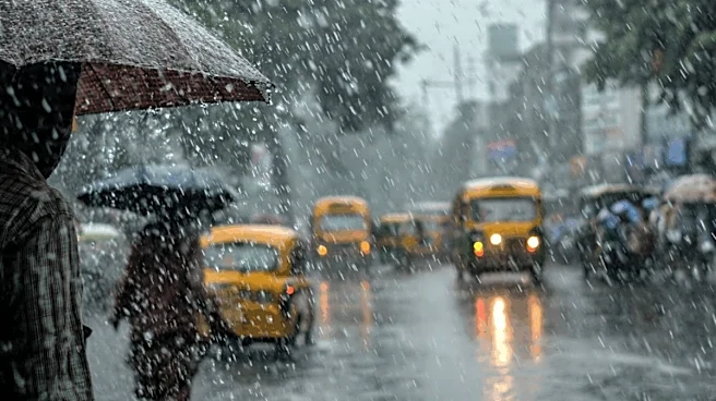 Weather Today Live Updates: BMC Reports 91 Tree Fall Cases, 30 Short Circuits Reported In 24 Hours In Mumbai