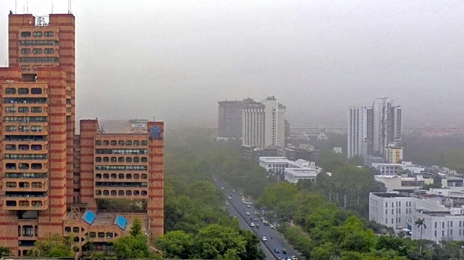 Green Cover, Water, Affordable Housing: DDA Charts Delhi's Future In 8-Point Plan