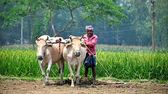 Over 2.38 Crore Uttar Pradesh Farmers Registered Under Digital Registry