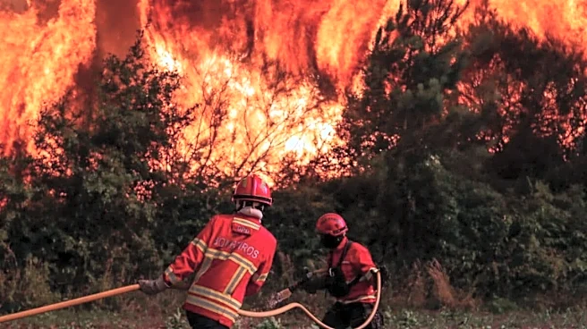 Portugal, Greece, Spain Battle Raging Wildfires As Firefighters Race To Contain Blazes