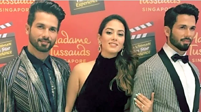 Mira Rajput Shares Romantic Post To Wish 'Love Of Her Life' Shahid Kapoor On Their 11th Anniversary