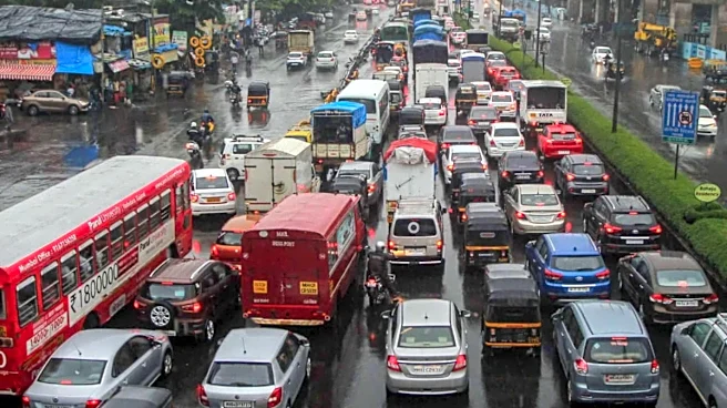 Should India Prioritise E20 Or EVs? Understanding Government's Twin-Track Strategy