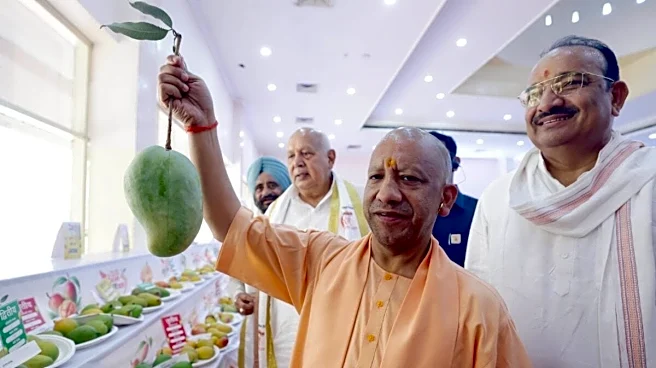 35 Crore Saplings In One Day: CM Yogi Announces UP's Biggest Tree Plantation Drive On July 12