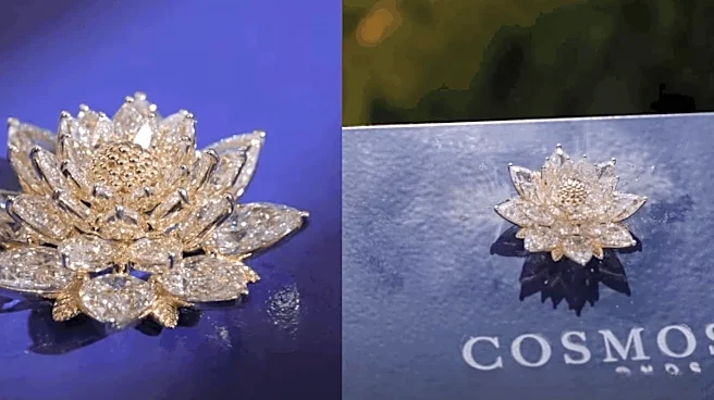 The Most Unexpected Passenger On India's Vikram-1 Rocket? A Bengaluru-Made Diamond Lotus