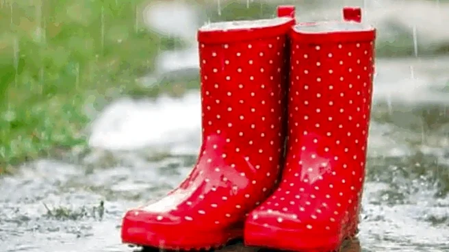 Rain Boots Vs Regular Shoes: Which Footwear Is Better For The Monsoon?
