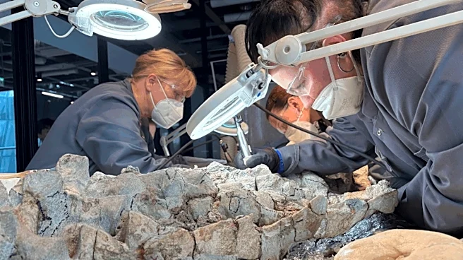 Before Dinosaurs, These Giant Predators Dominated Earth. Now 2,000 Volunteers Are Digging Them Up