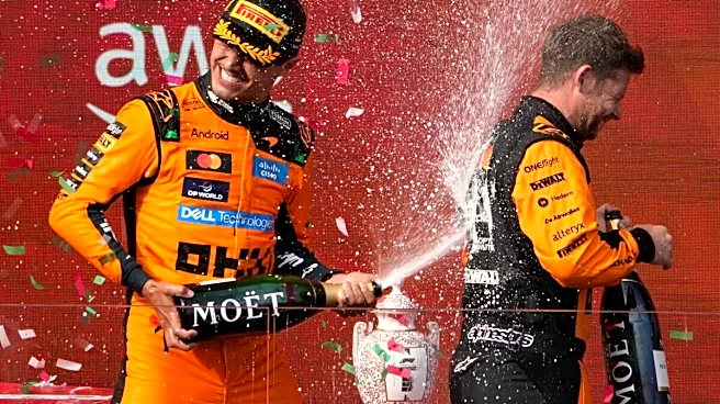 Lando Norris Ends McLaren's Wait With Hungarian GP Win; Antonelli Extends Title Lead