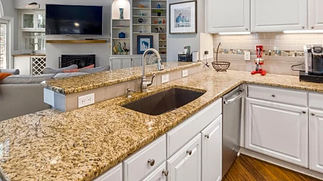 Setting Up a New Kitchen Isn't Easy: Here Are 8 Tips to Choose the Right Cooktop, Chimney, Fridge, and Other Kitchen Appliances