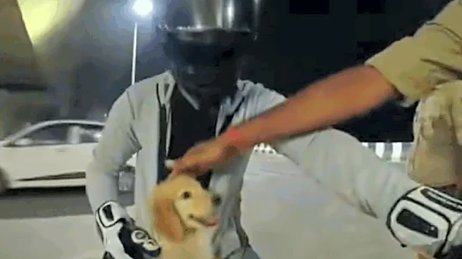 Patna Police Spot Puppy Peeking Out Of Biker’s Jacket, Stop Him To Pet His Tiny Passenger; Internet Reacts