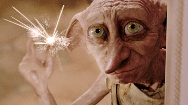 Wizarding Win? Why Did Harry Potter Fans Force $580 Million Cable Project To Reroute?