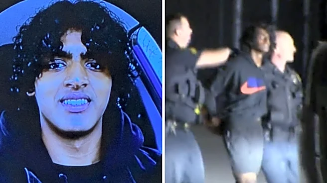 Indian-Origin Teen Kills Mother, Brother In US; Had Searched For ‘Fantasies Regarding Killing His Family’