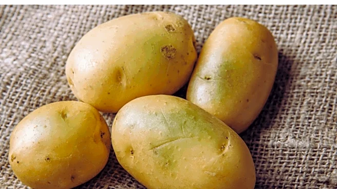 Potatoes ‘Boiling’ Underground Amid Record Heat? What’s Happening In South Korea