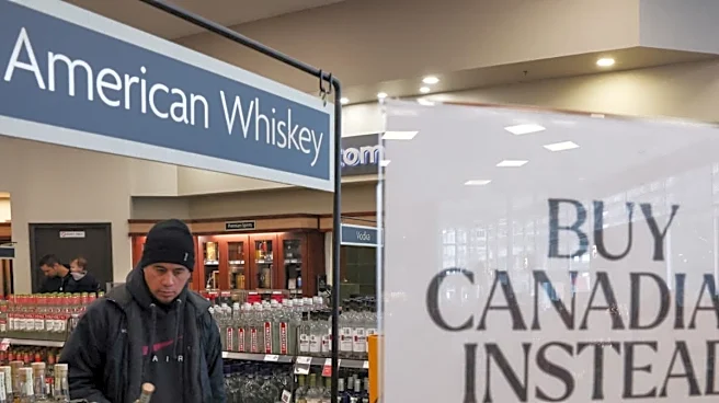 From Netflix, Tesla To US Beer: Canadians Boycotting American Products Amid Tariff Row