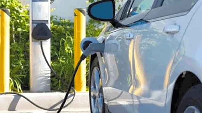 Opinion | India’s EV Revolution Starts In The Basement