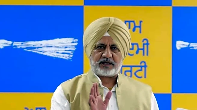 'Moving In Right Direction': Punjab Groundwater Extraction Drops, AAP Credits Mann Govt’s Canal Push