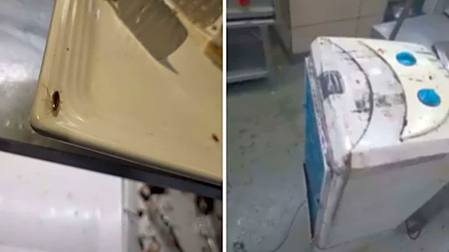 Cockroach On Dessert Plate? Barbeque Nation Customer Flags Hygiene Concerns In Virar, FSSAI Responds