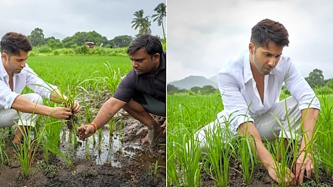 Varun Dhawan Says 'Kheti Shuru' As He Drops Pics From New Farm, Bhumi Pednekar Calls It 'Best Life'