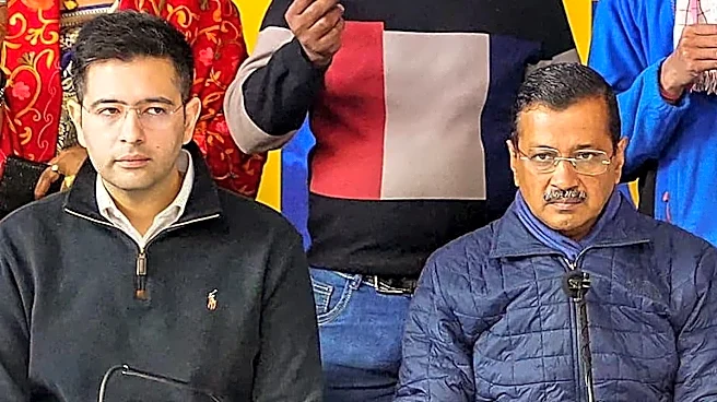 Raghav Chadha Tried To Get Into Delhi Voter Rolls Via 'Backdated Entry': AAP On MP's SIR Row
