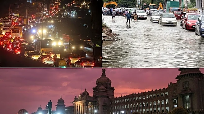 What Is 'Second Bengaluru'? Why NITI Aayog Wants Karnataka To Develop Another Major City