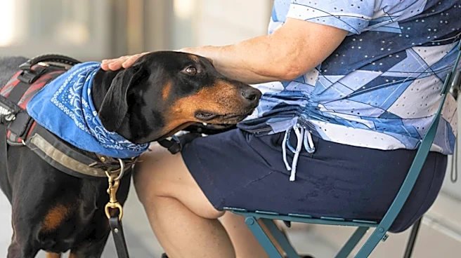 Can You Get Rabies Without Being Bitten By A Dog? Risk From Scratches, Licks And Saliva Explained