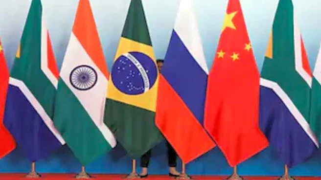 India To Raise Market Access Issues With BRICS Partners To Boost Bilateral Trade