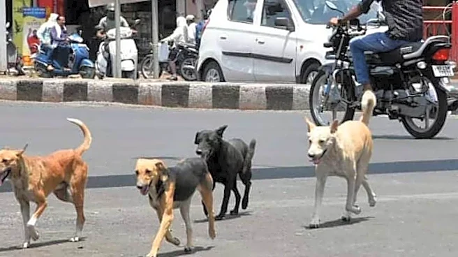 Vaccinate Dogs, Not Kids: New Study Finds Smarter Way To End Rabies Deaths