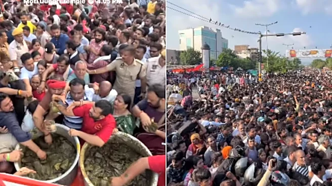 Watch: Single Men Throng Jaipur's Moti Dungri Temple For 'Mehendi' That Promises Marriage; 3,500 Kg Distributed In 3 Hours