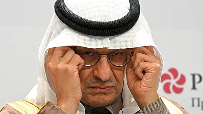 Saudi Arabia Discovers Huge 110-Million-Tonne Ore Deposit With Rare Earths, Uranium Potential
