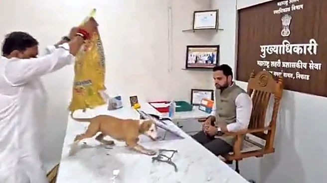 Viral Video: Nashik Activists Release Stray Dogs Inside Panchayat Office After Being Fed Up By Rising Bite Cases