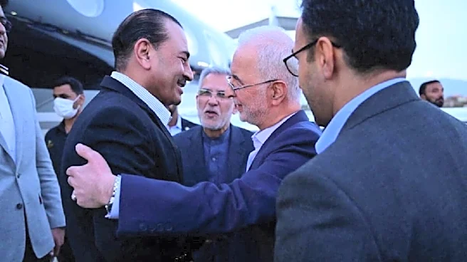 Pakistan, China, Saudi 'Beg' Iran To Rein In Houthi Blitz In Red Sea