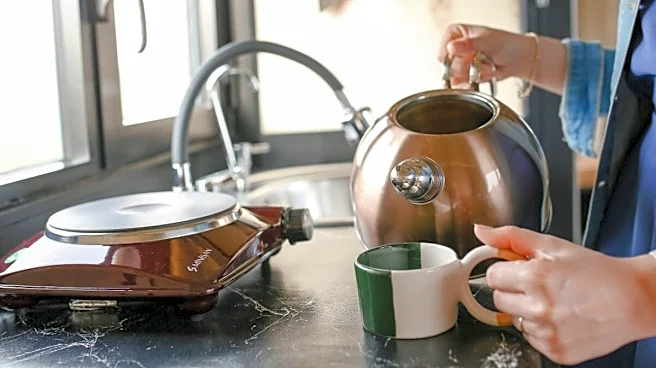 Electric Kettles Under Rs 1,000 for Instant Tea And Coffee, Starting At Rs 399
